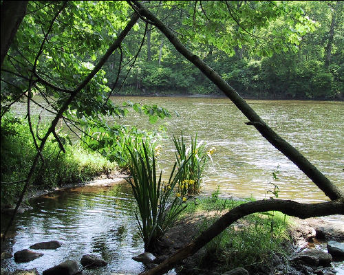 Pond, AT, Connecticut