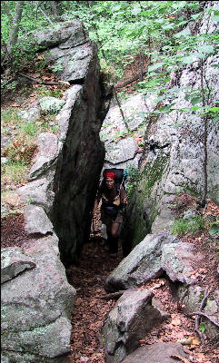 Narrow Trail, AT, Connecticut