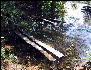 Trail in the Water, AT, Massachusetts