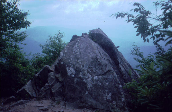 View, Great Smokies, AT