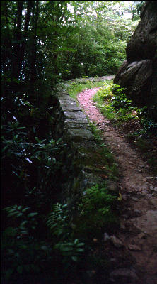 Prepared Trail, Great Smokies, AT