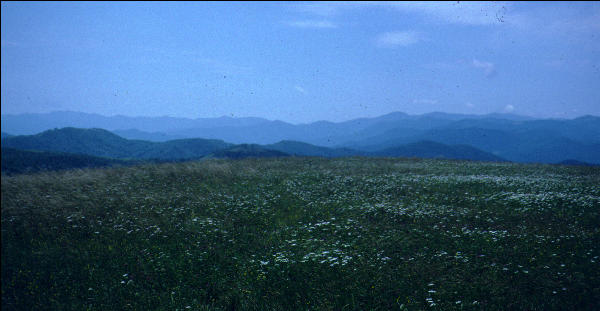 Max Patch, NC, AT