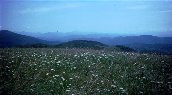 Max Patch, NC, AT