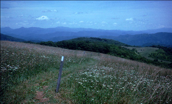 Max Patch, NC, AT