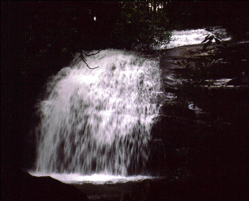 Falls on Springer Mountain, AT