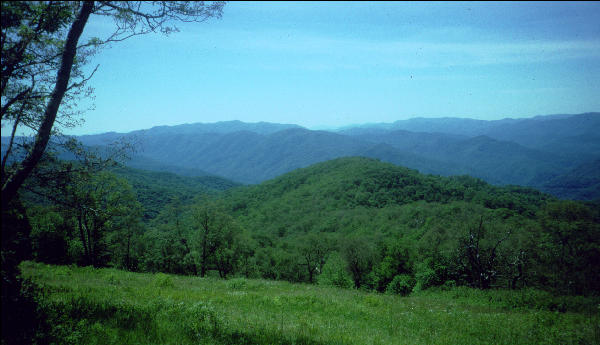 Wayah Bald, NC, AT