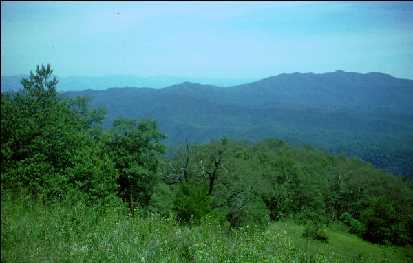 Wayah Bald, NC, AT