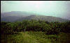 View, Great Smokies, AT