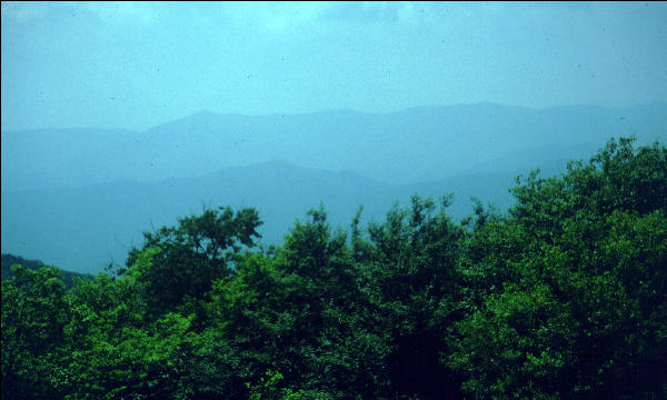 View, Great Smokies, AT