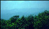 View, Great Smokies, AT