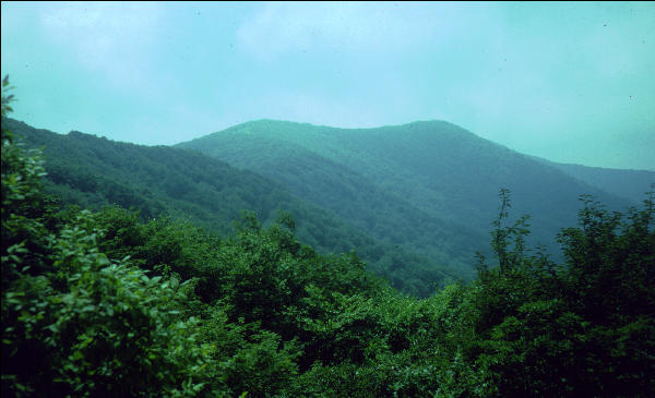 View, Great Smokies, AT