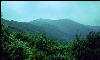 View, Great Smokies, AT