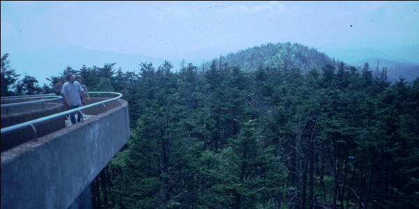 Clingman's Dome, Great Smokies, AT