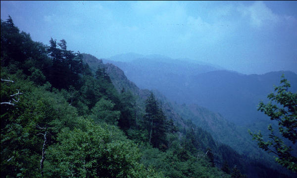 View, Great Smokies, AT