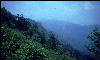 View, Great Smokies, AT