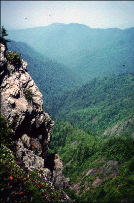 View, Great Smokies, AT