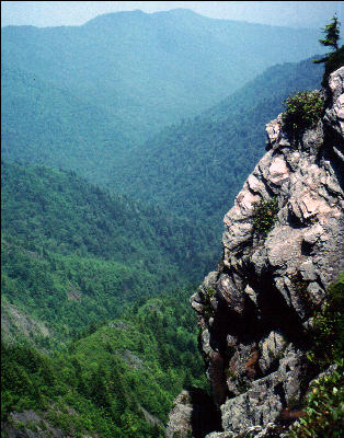 View, Great Smokies, AT