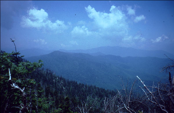 View, Great Smokies, AT