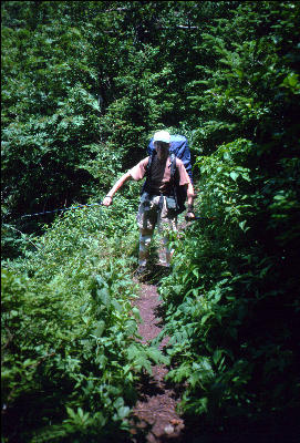 Walking the LIne, Great Smokies, AT