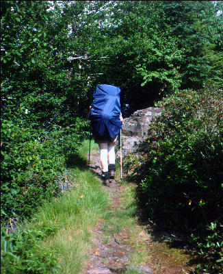 Hiker, Great Smokies, AT