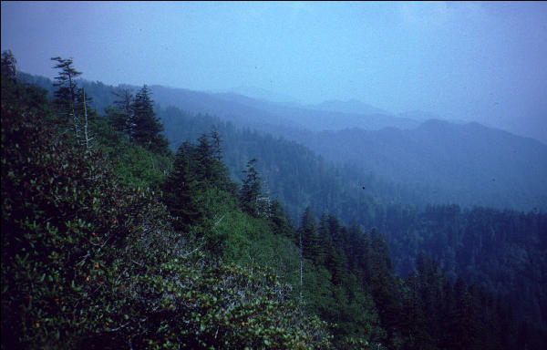 View, Great Smokies, AT