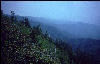 View, Great Smokies, AT