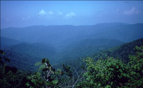 View, Great Smokies, AT