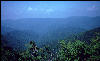 View, Great Smokies, AT