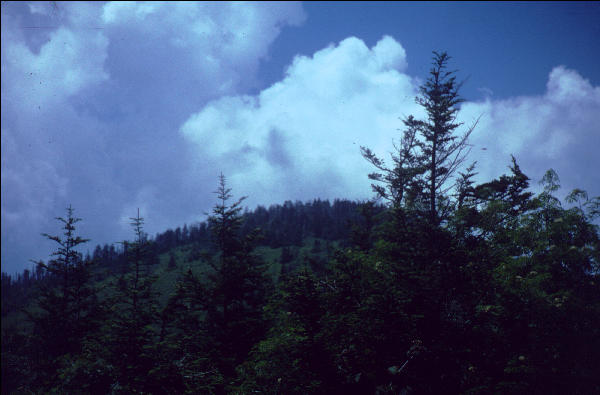 View, Great Smokies, AT