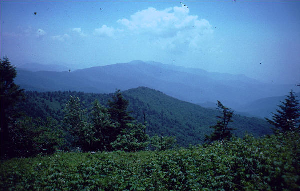 View, Great Smokies, AT