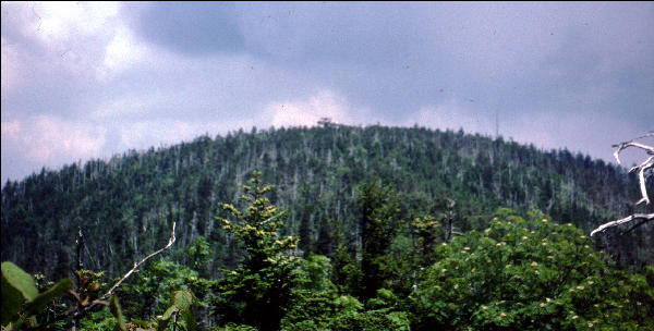 View, Great Smokies, AT