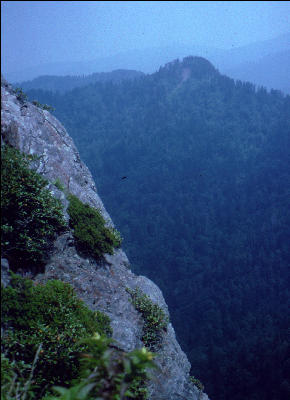 View, Great Smokies, AT