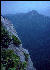 View, Great Smokies, AT