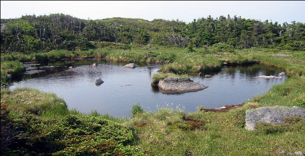 Mountain Pond,  AT, Maine