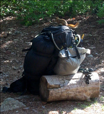 Squirrel and Pack, AT, Maine