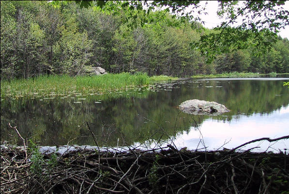 Beaver Pond, AT, New Jersey