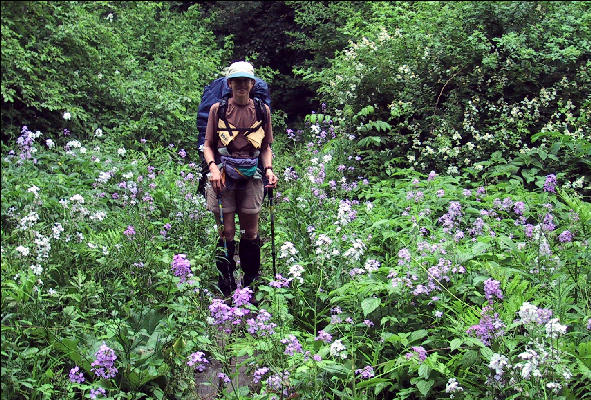 Surrounded by Flowers, AT, New York