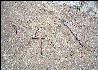 Sign in the Sand, AT, Maryland