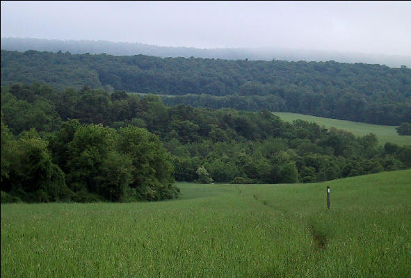 Valley South of Darlington