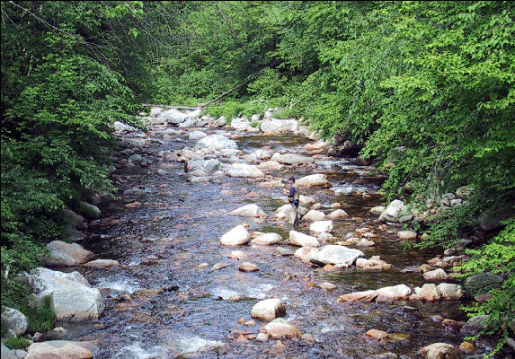 Mountain Stream with Fisherman, Long Trail, Vermont
