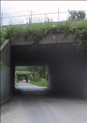 Trail under Bridges, AT, Vermont