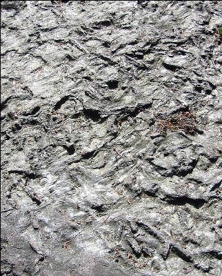 Rock Texture, White Mountains, AT, New Hampshire