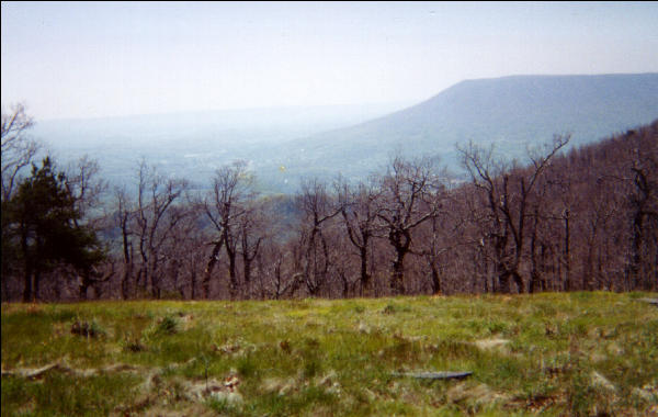 View from Campsite