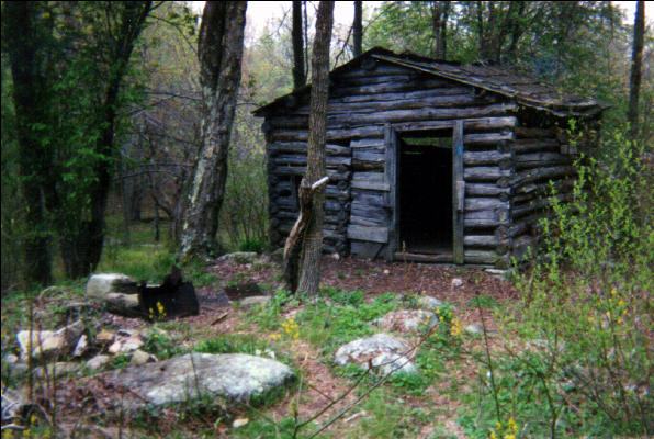 Old Cabin 