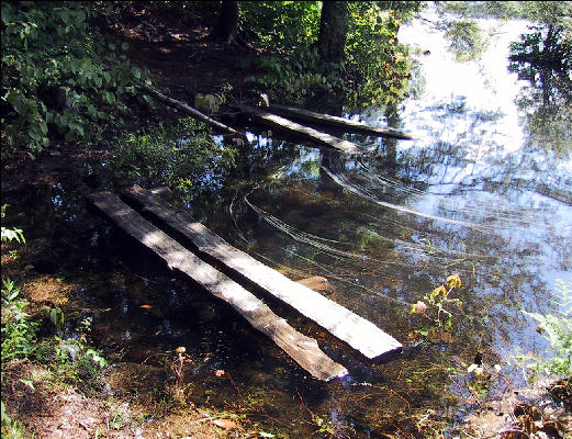 Trail in the Water, AT, Massachusetts