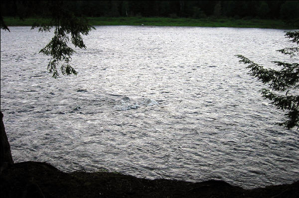 Kennebec, High Tide, AT, Maine