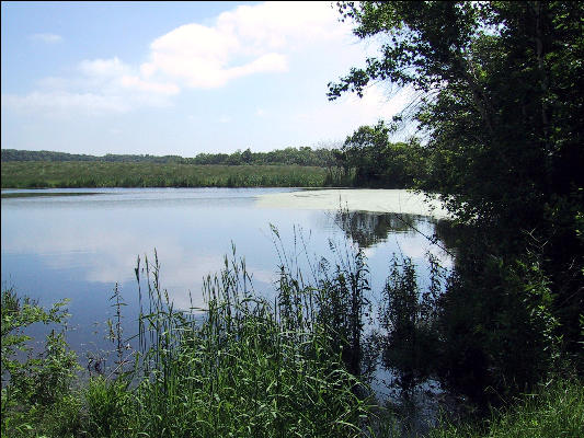 Pond, AT, New Jersey