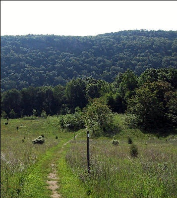 Mountain to Come, AT, New Jersey