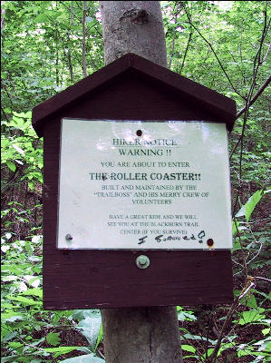 The Roller Coaster, AT, Northern Virginia