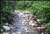 Mountain Stream with Fisherman, Long Trail, Vermont